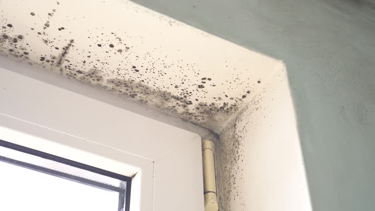 Best Residential Mold Inspection & Testing  in Tulare, CA